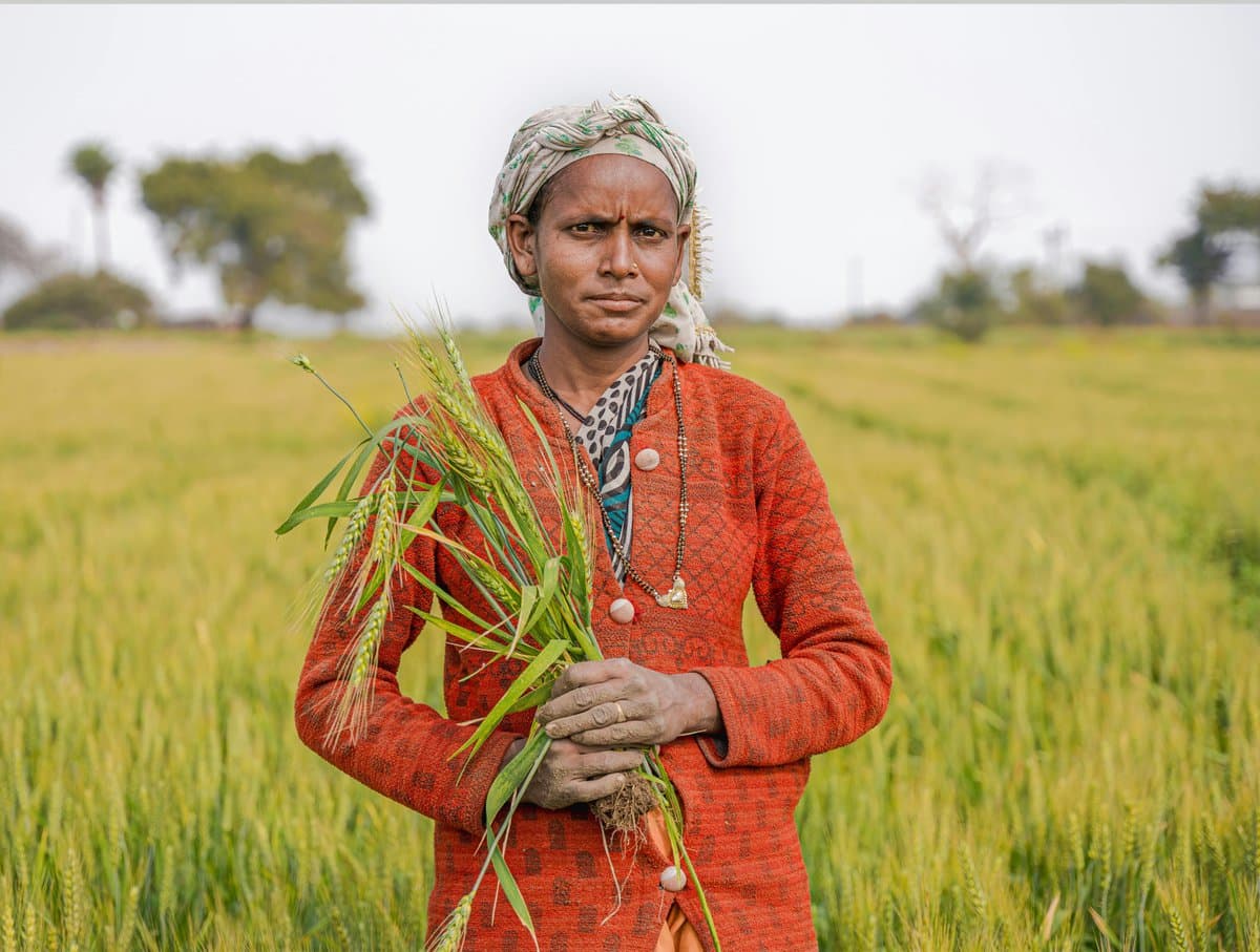 A Clean Story farmer standing in her rice field, holding a freshly harvested bundle of grain.