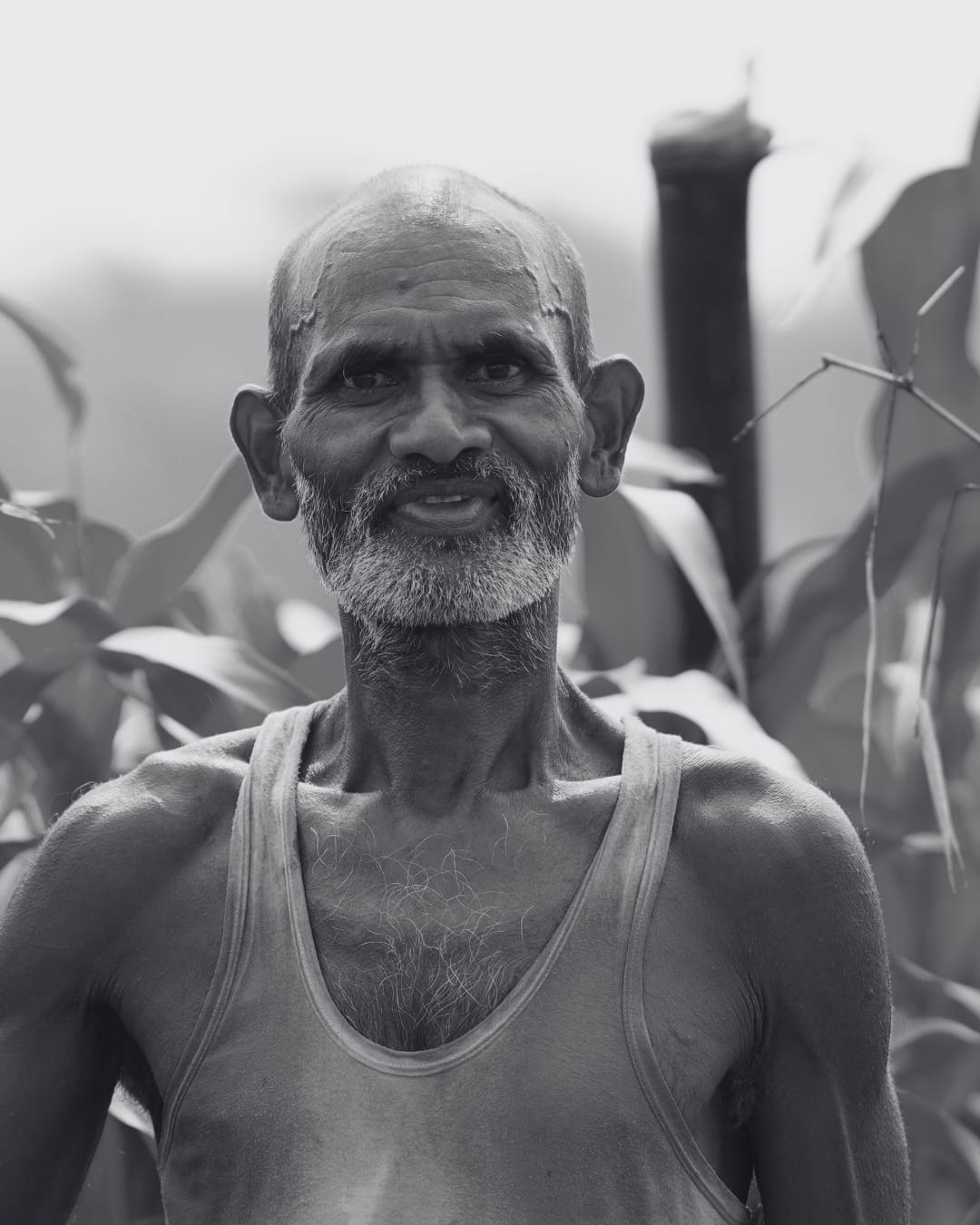Portrait of Apparao